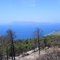 вид на остров Brač :: Светлана Баталий