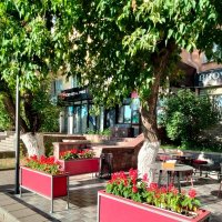 Кафе :: Динара Каймиденова Кафе :: Динара Каймиденова