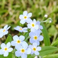 Для души :: Андрей 