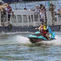 Акула, вперёд! :: Андрей Жданов