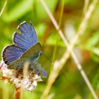 из снятого сегодня 3 :: Александр Прокудин из снятого сегодня 3 :: Александр Прокудин