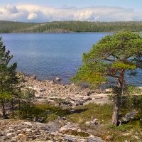 Беломорье :: Andy Беломорье :: Andy