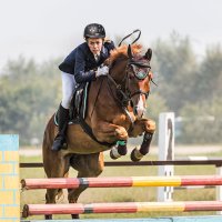 Конкур :: SanSan 