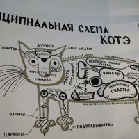 PRO Кота.... :: Алёна Савина