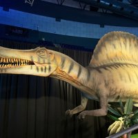 " :: Светлана Хращевская