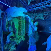 " :: Светлана Хращевская