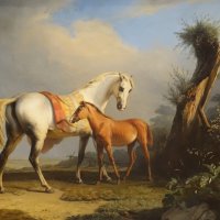 Одна из картин фламандской коллекции :: Aida10 