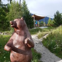 Конец июля - тоже середина лета :: Галина Минчук