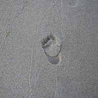 Море :: redfox Море :: redfox