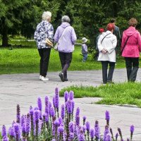 Прогулка :: Валентина *