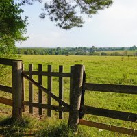 Деревенский сюжет. :: Сергей Ц