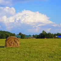 Фермерское хозяйство :: Сергей Ц