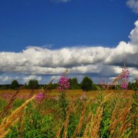 Небо августа :: Наталья Лакомова