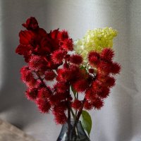 пурпурная таинственность :: Наталья Крюкова