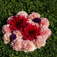 орнамент из живых цветов :: Наталья Крюкова