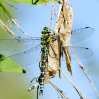 из снятого сегодня 4 :: Александр Прокудин