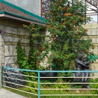 _НЕ_ :: Сергей Янович Микк