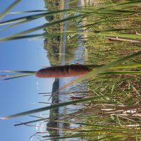 Июль :: Ильдар Аббясов