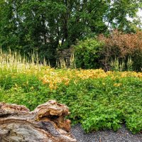 В парке на горке Харью :: Veera V