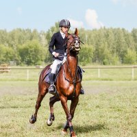 Конкур :: SanSan 