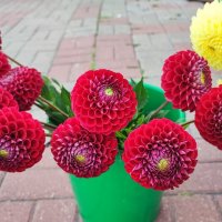 ,,, :: Сергей Тимоновский