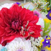 ,,, :: Сергей Тимоновский