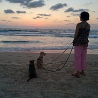 Дама с собачками :: Светлана Хращевская