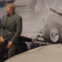 Фигурка оленя на капоте Волги. :: ИРЭН@ .