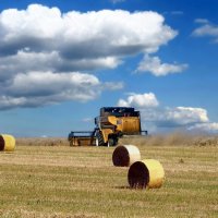 Август -  уборочная страда. :: Николай Рубцов