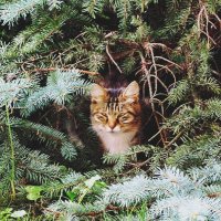 Живу я здесь ) :: Сергей Б.