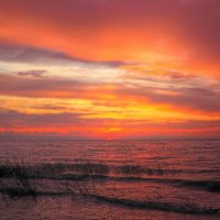 *** :: Сергей Григорьев