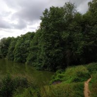 * * * :: Андрей Лукьянов