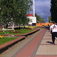 Август....Спасаясь от наступающего  дождя! :: Владимир 