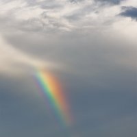частица радуги :: Michel 