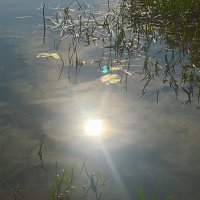 Утреннее купание солнца :: Татьяна Лютаева