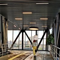 Совпадение по цвету. Жёлтый. :: Любимова Ольга 