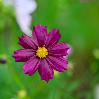 идеальная ) :: Осень 