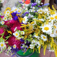 ,,, :: Сергей Тимоновский