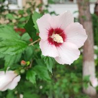 ,,, :: Сергей Тимоновский