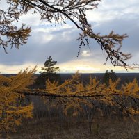 Вечер :: Anna Ivanova Вечер :: Anna Ivanova