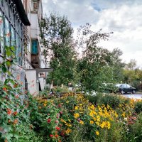 Цветущий двор :: Динара Каймиденова