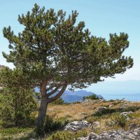 национальный парк Биоково :: Светлана Баталий