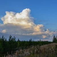 уходящий дождь :: сергей уходящий дождь :: сергей