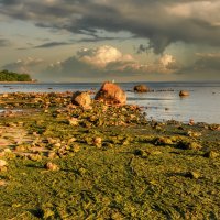 Про Питер :: Владимир Колесников