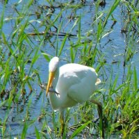 удачная рыбалка :: gawrilа - dan