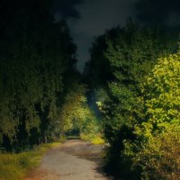 Ночной пейзаж :: Леонид leo