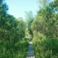 Чёртов мостик :: Леонид leo