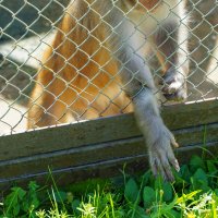 БРАТ :: Сергей Янович Микк БРАТ :: Сергей Янович Микк