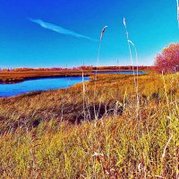 Осень позолотила берега протоки Коим! :: Владимир Осень позолотила берега протоки Коим! :: Владимир