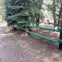 Talgar. :: Murat Bukaev 